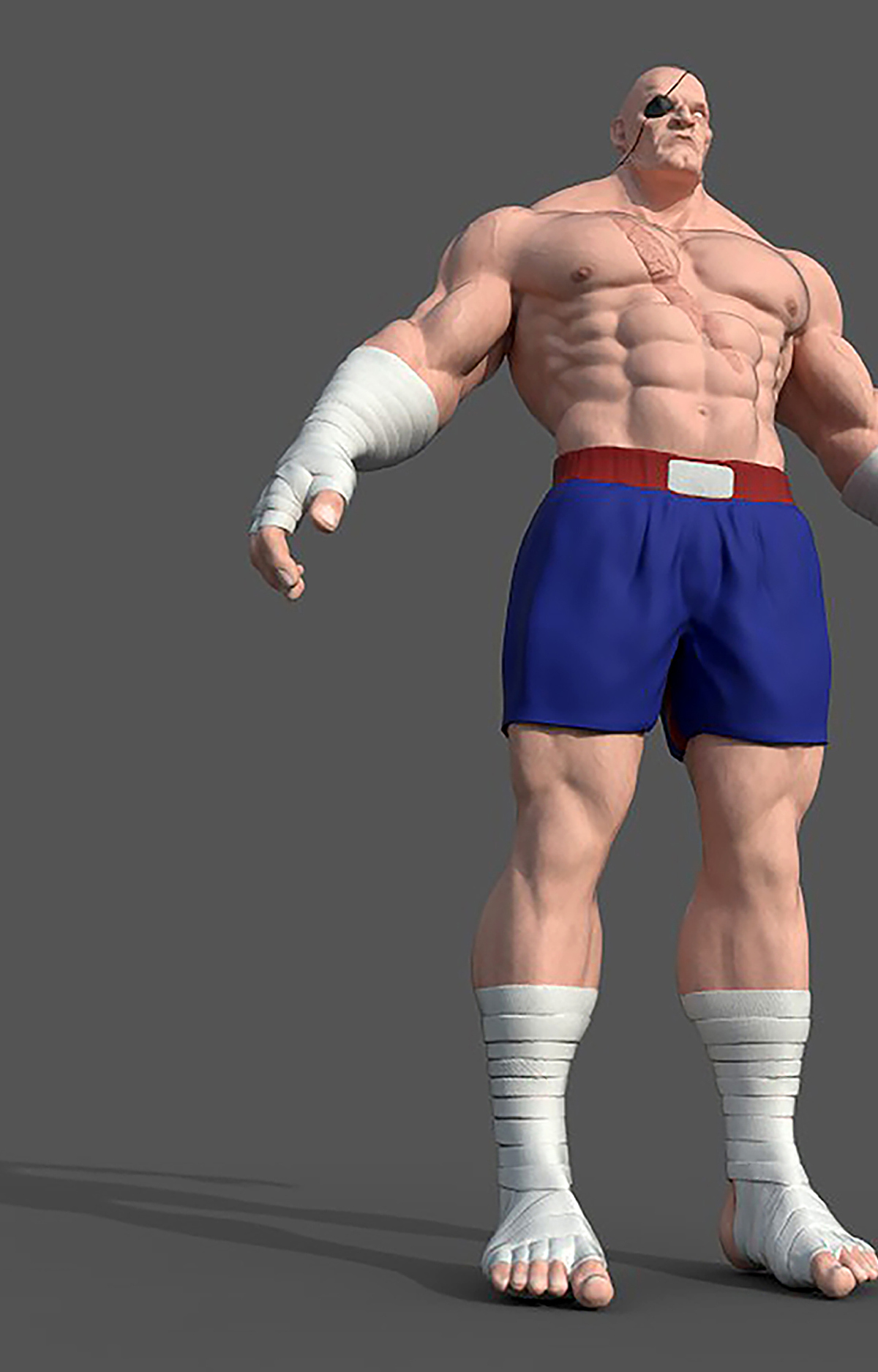 sagat_poseA_render_02.jpg