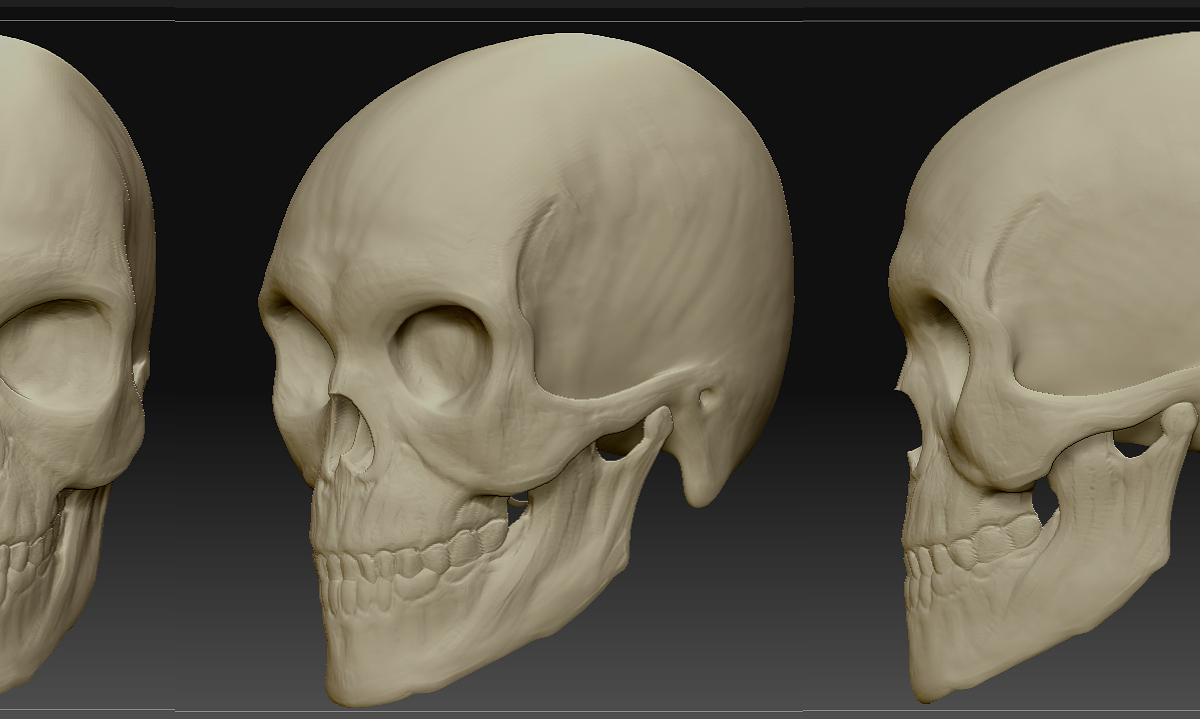 skull.jpg