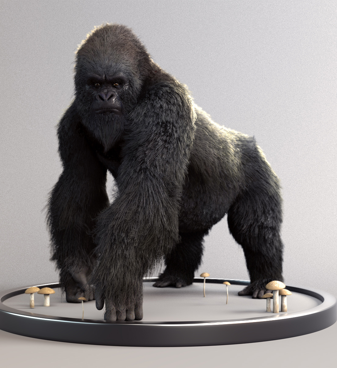 Gorilla_Zbrushcentral.jpg