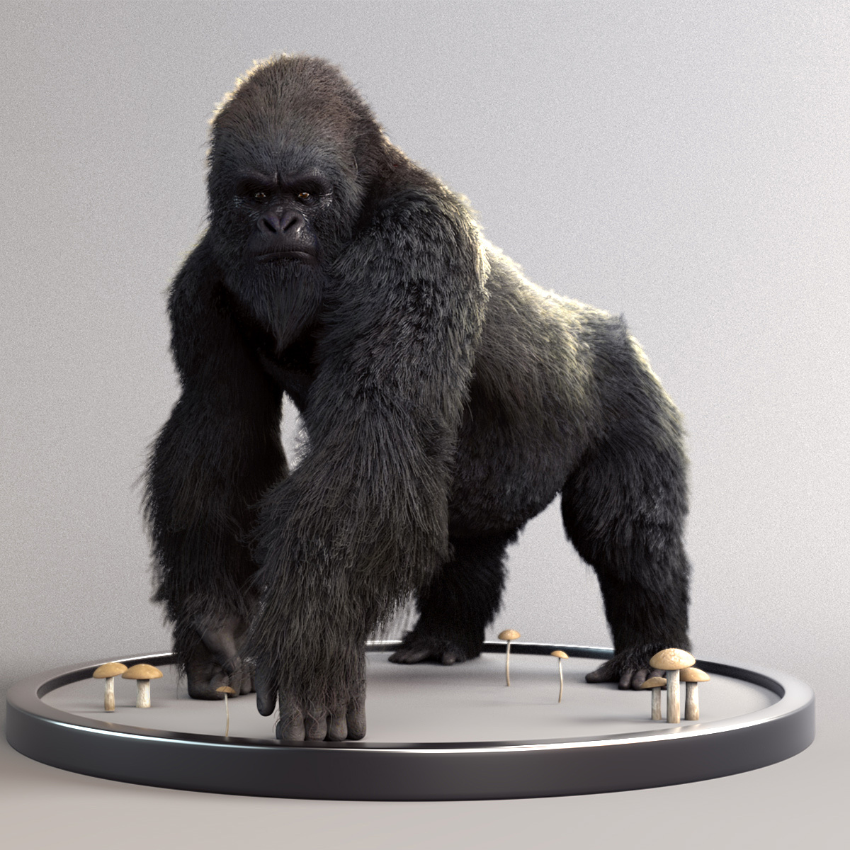 Gorilla_Zbrushcentral.jpg