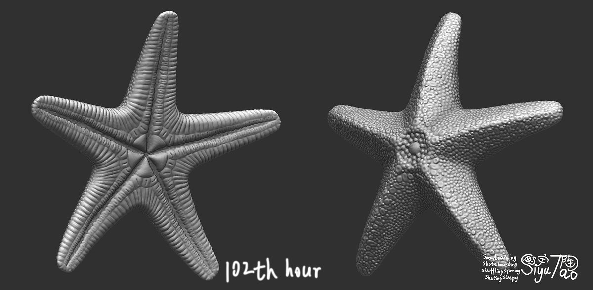 102thHour