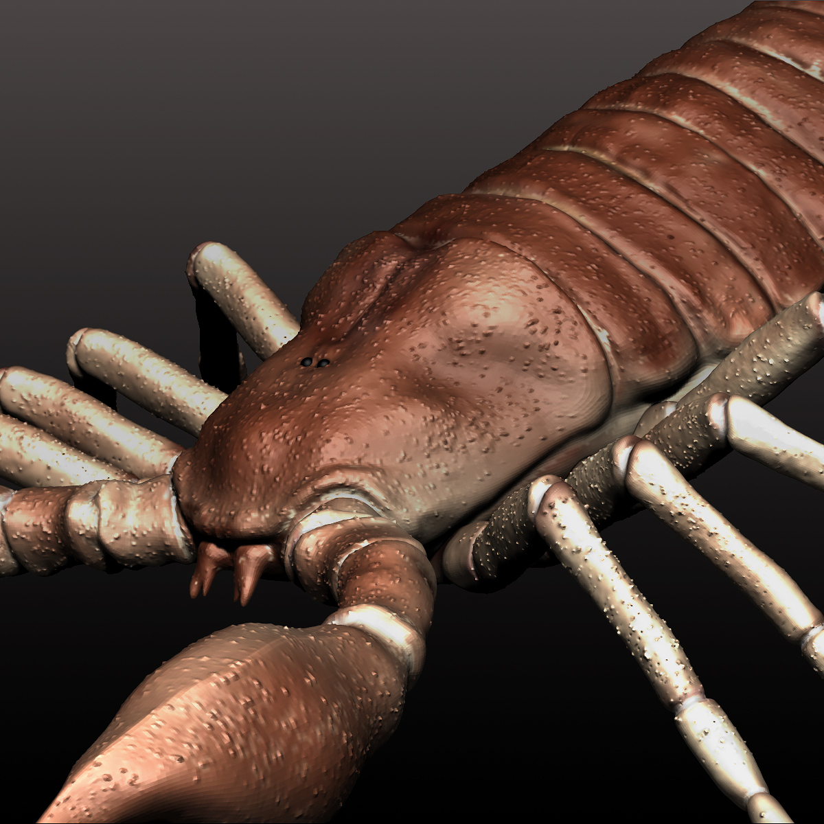 Scorpion_CloseFront.jpg