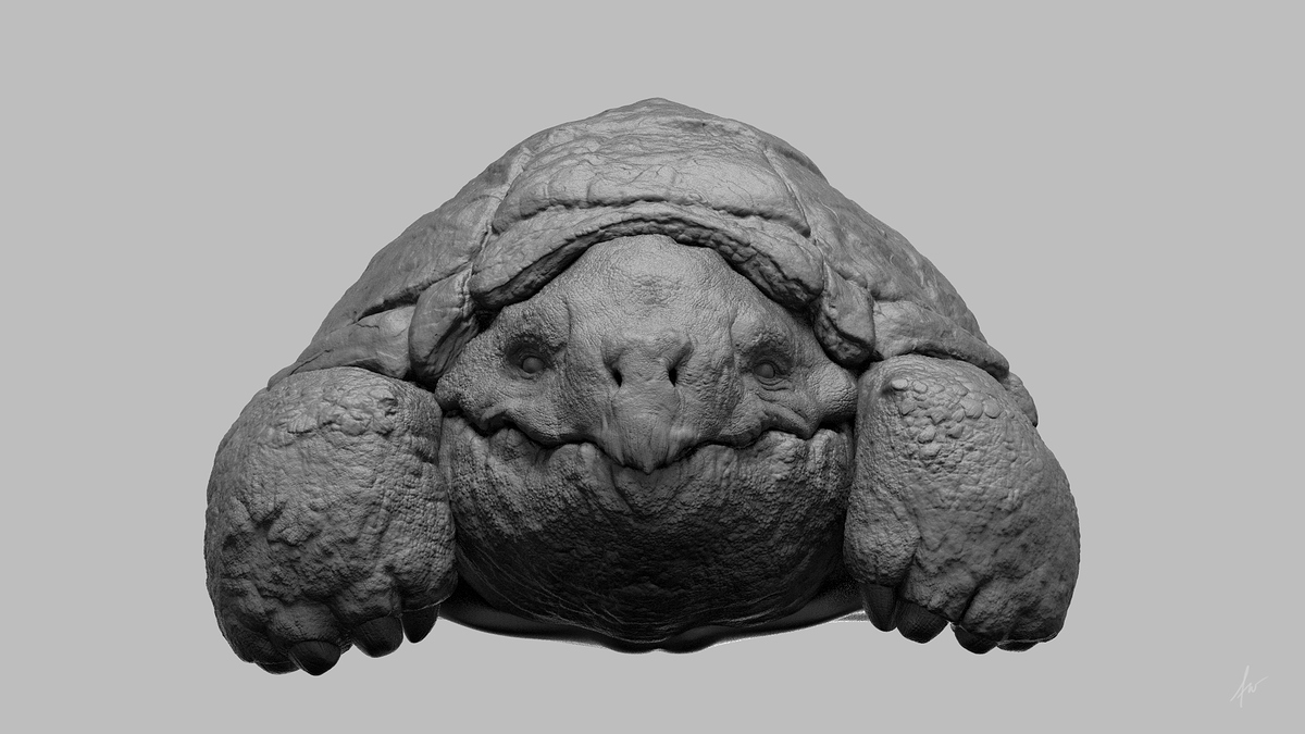 turtle006