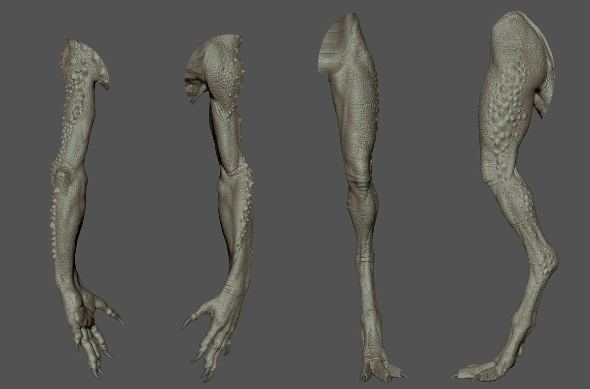 canizares_lizard_04