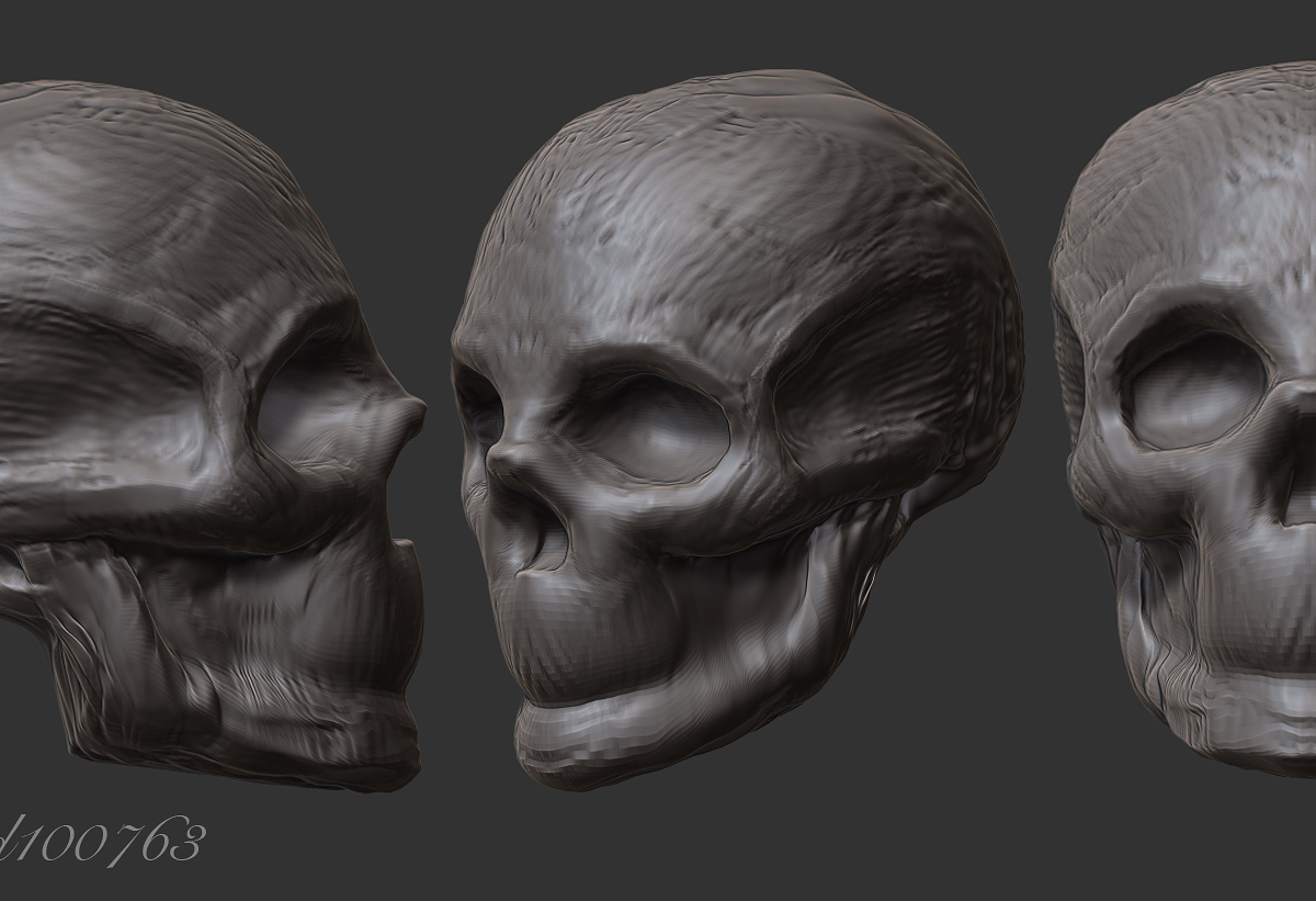 skull Study.jpg
