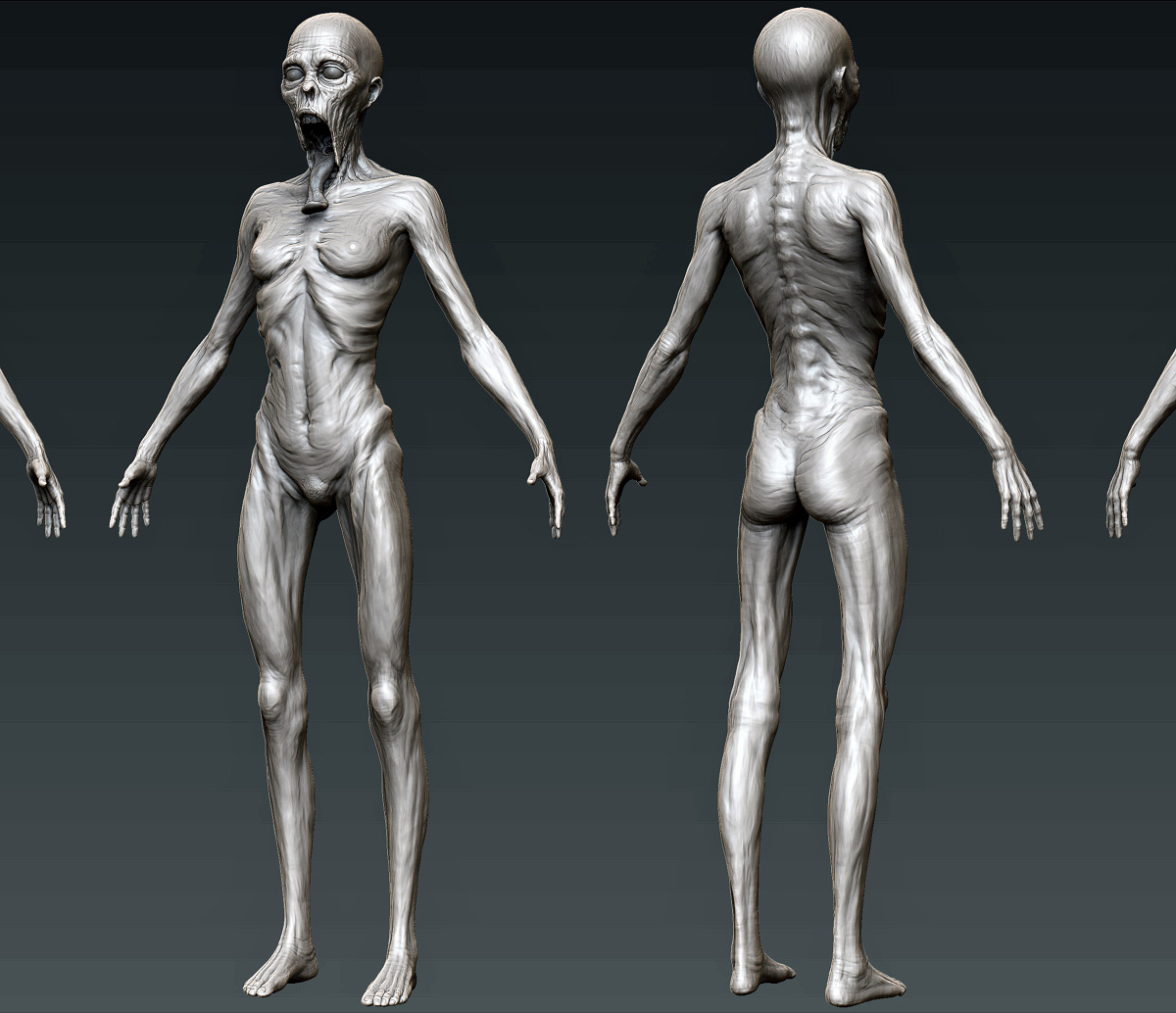 BodyWIP01.jpg