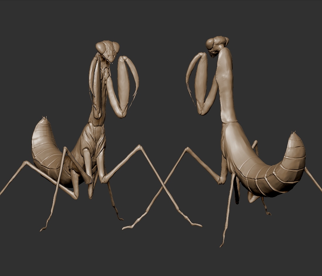 ZBrush Document.jpg