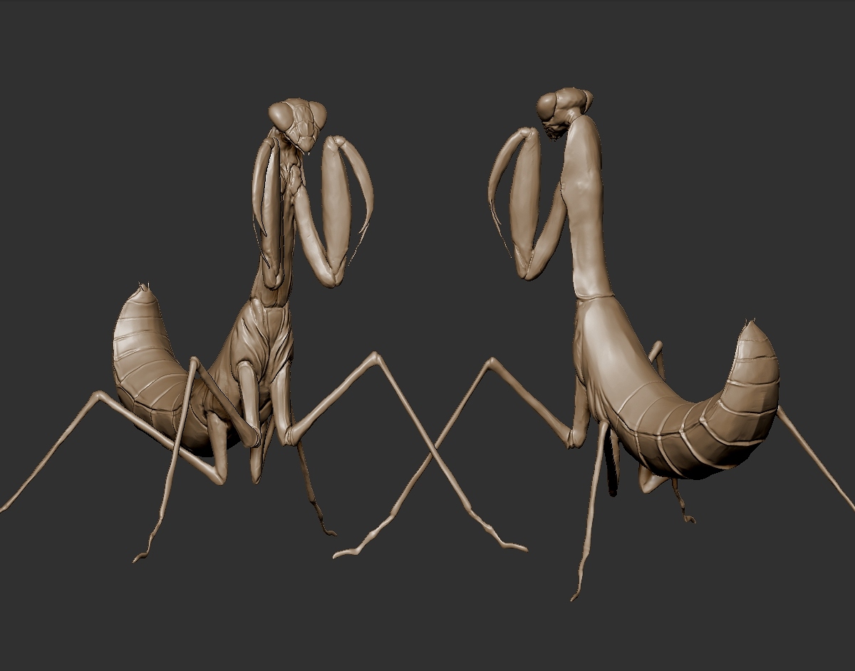 ZBrush Document.jpg