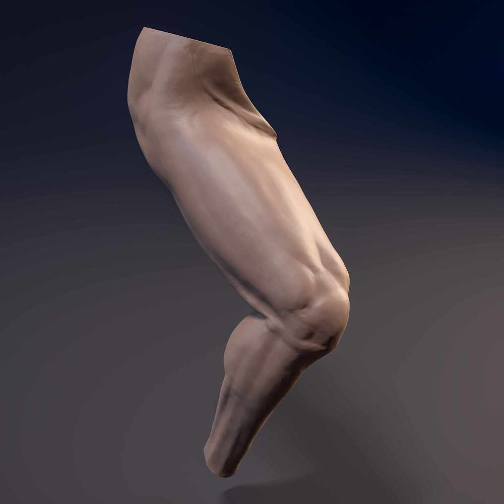 Leg_Bend_Cam_01