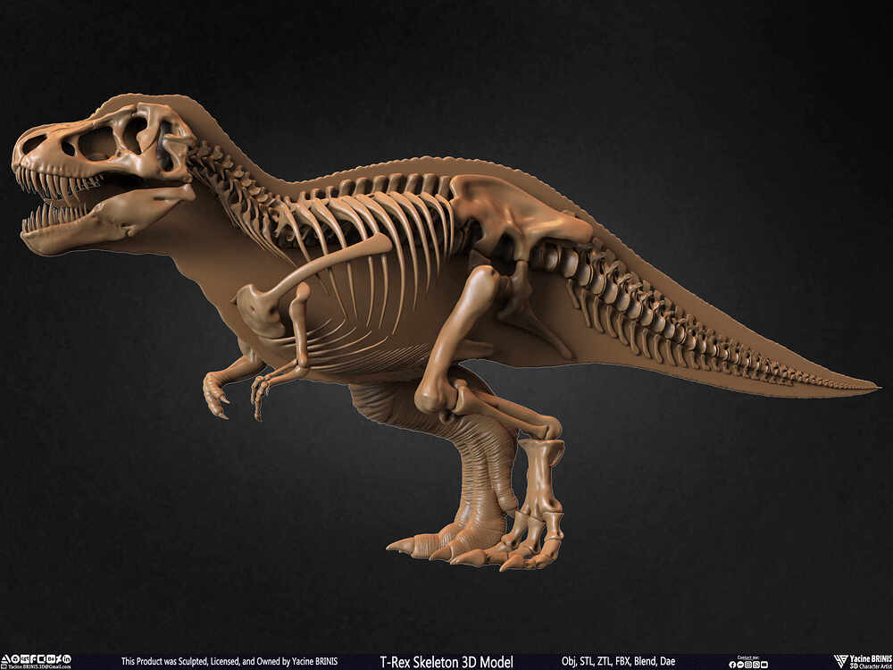 T-Rex Skeleton 3D Model (Tyrannosaurus Rex) Sculpted By Yacine BRINIS Set 047