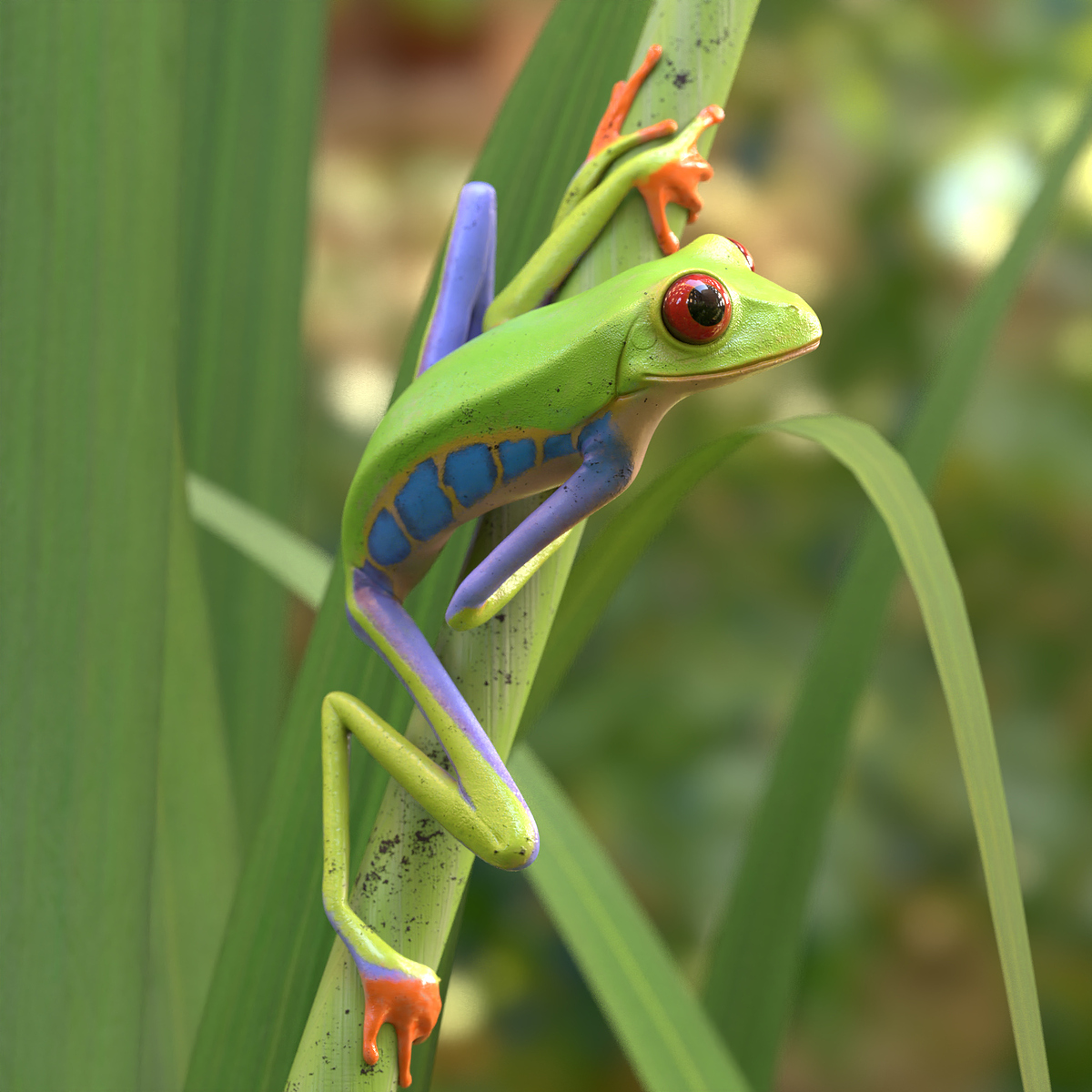 frog02