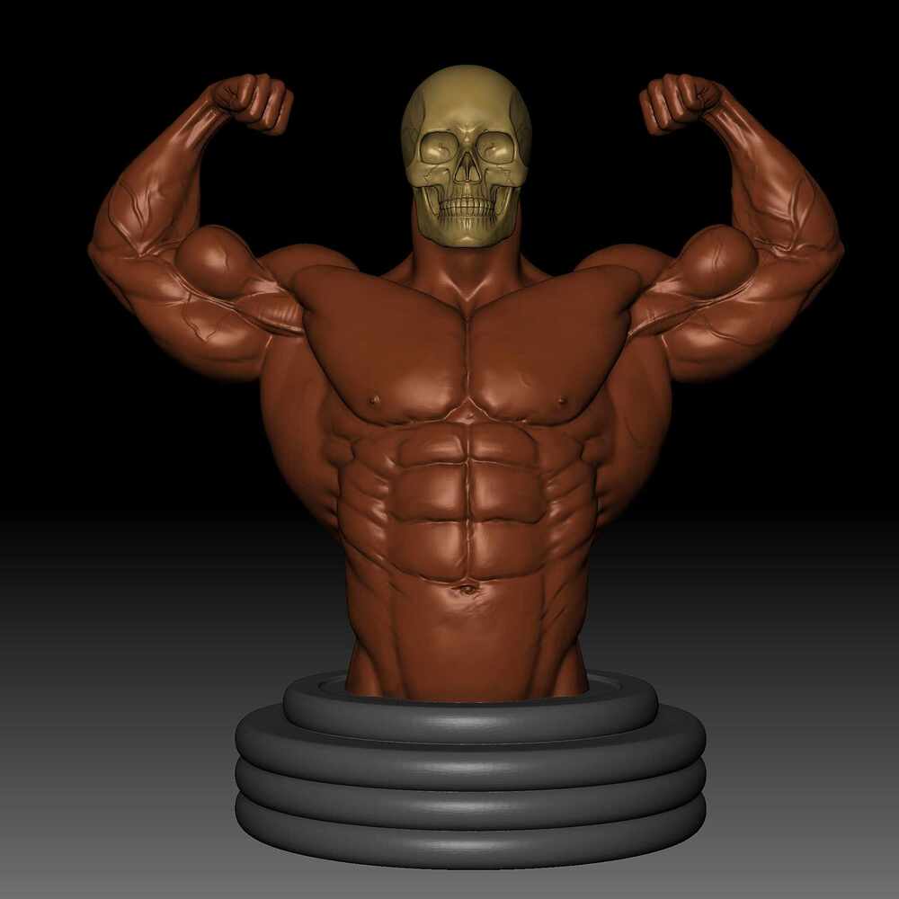 Body 19