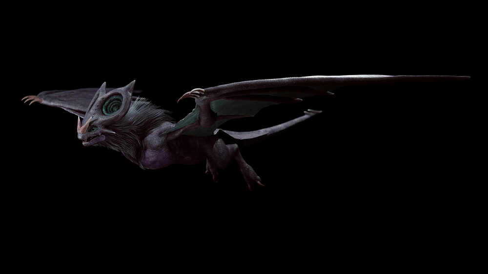 WIp_07