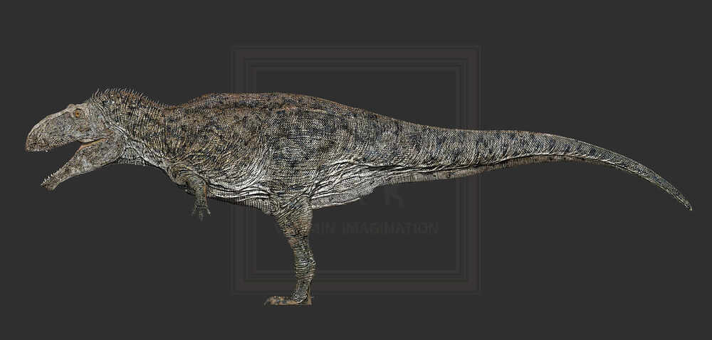 ZBrush Document9