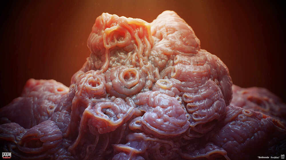 organs_03