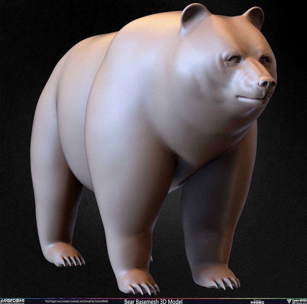 Bear Basemesh 3D Model Sculpted by Yacine BRINIS Set 034