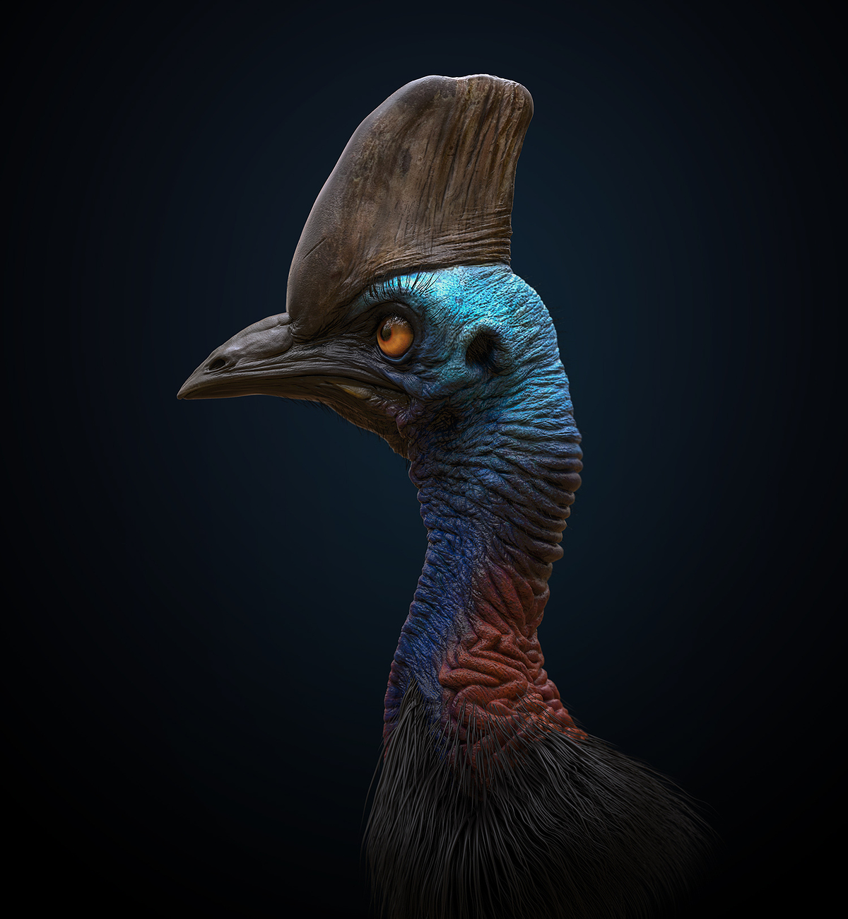 Cassowary_render_02