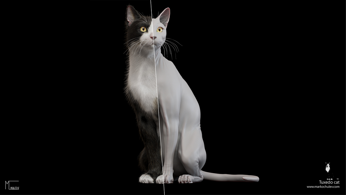 TuxedoCat.v1.3a