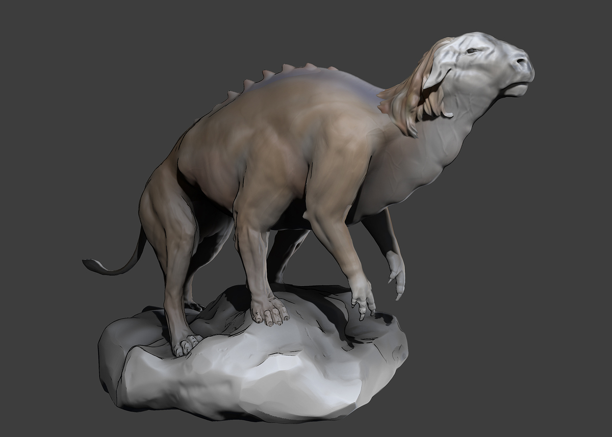zebraturos