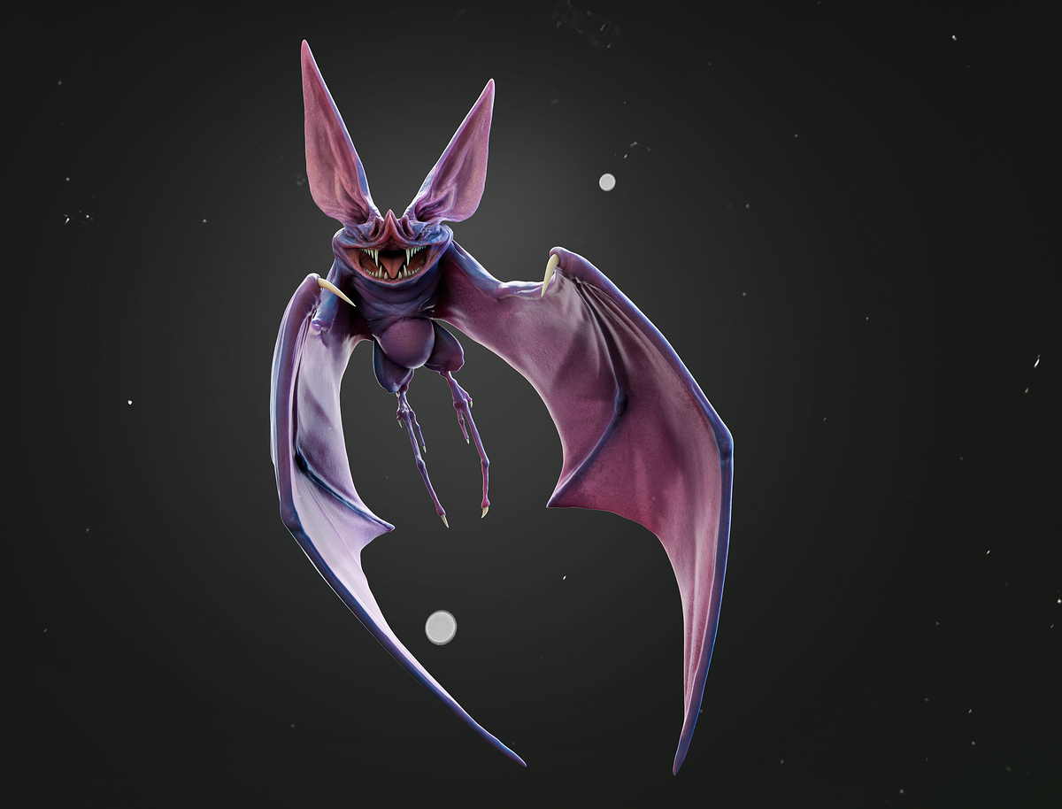 Zubat_D