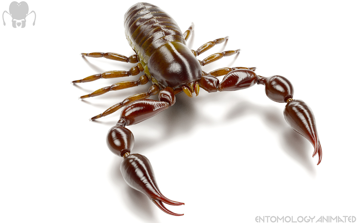 eric-keller-pseudoscorp-iray-01