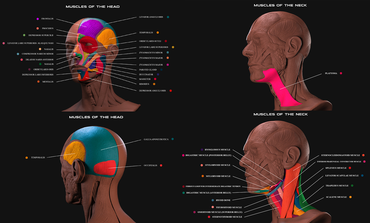 Face_gumroad