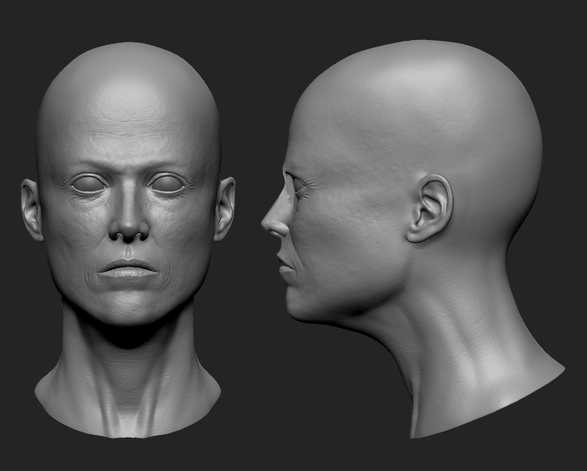 lrg-ripley-wip001.jpg