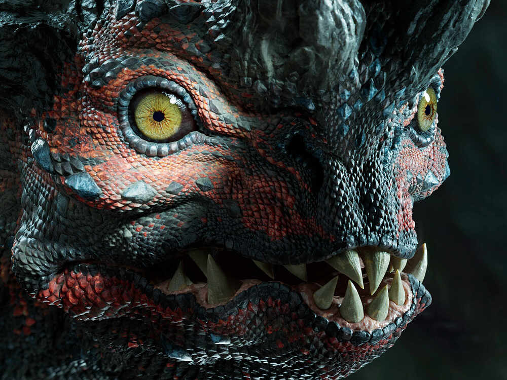 closeup02