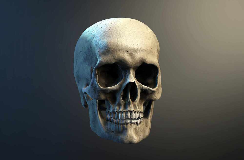 Cráneo_Render_ArteFinal