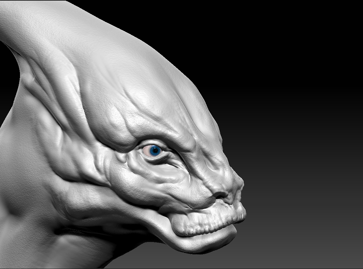 head details wip.jpg