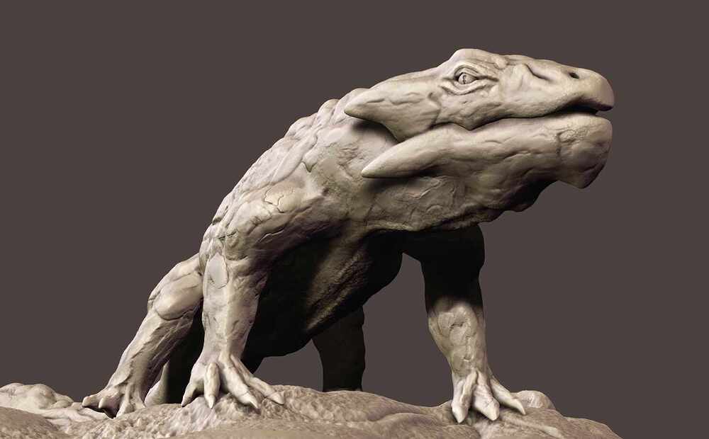 zbrush render 1