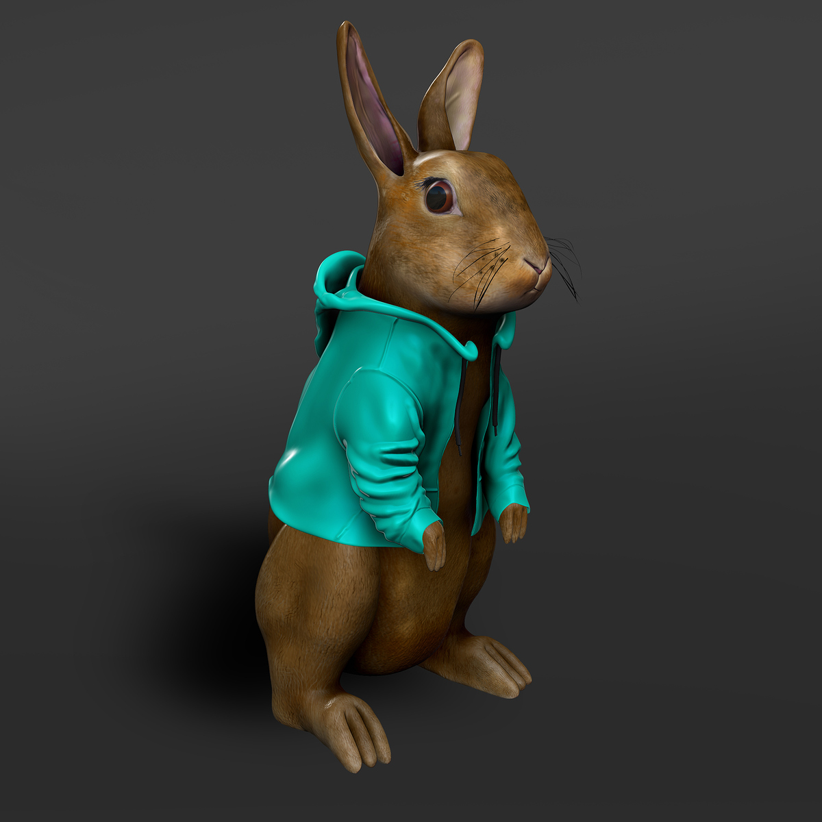 The Rabbit Saber Ebrahimi