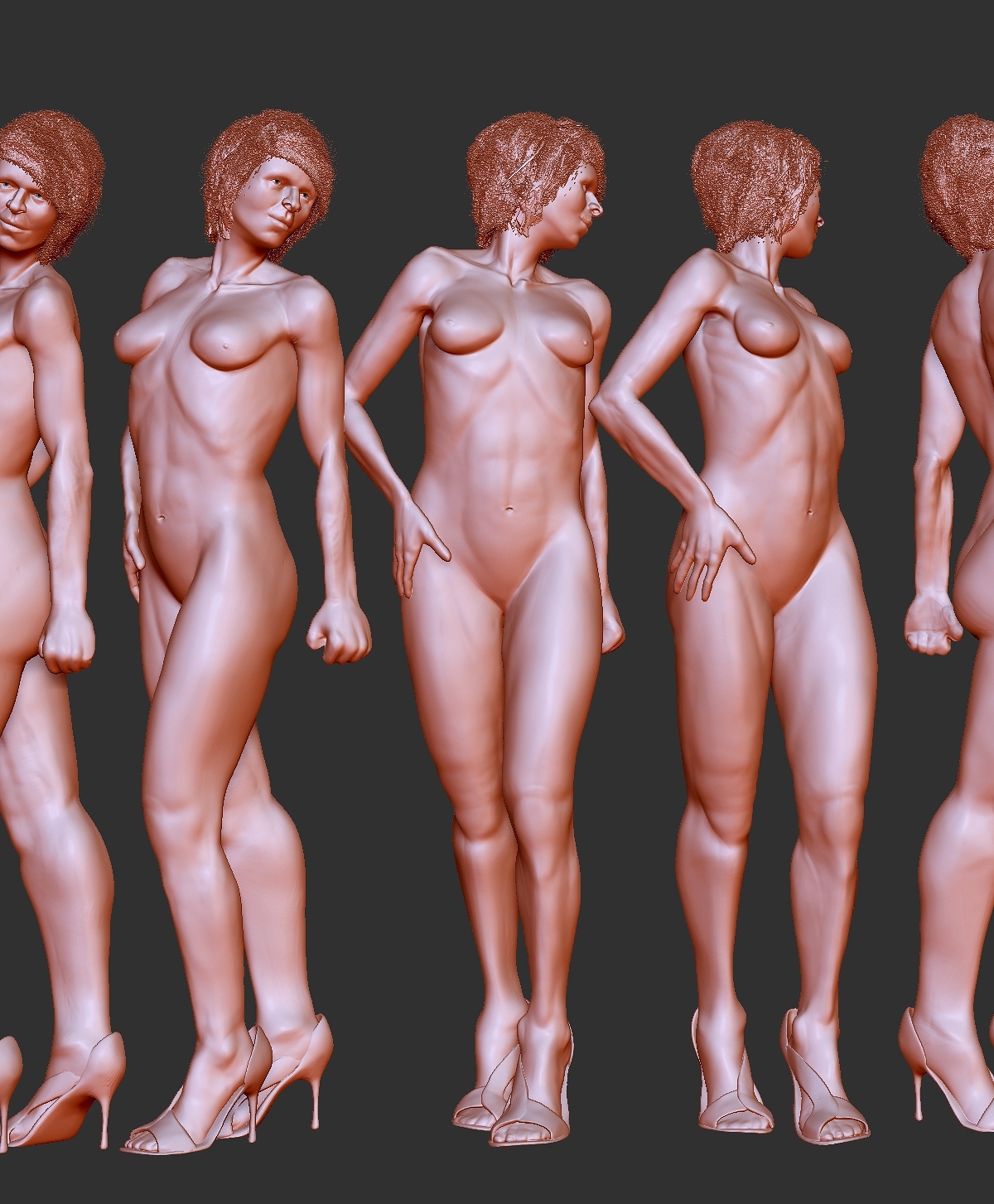 wip7.jpg