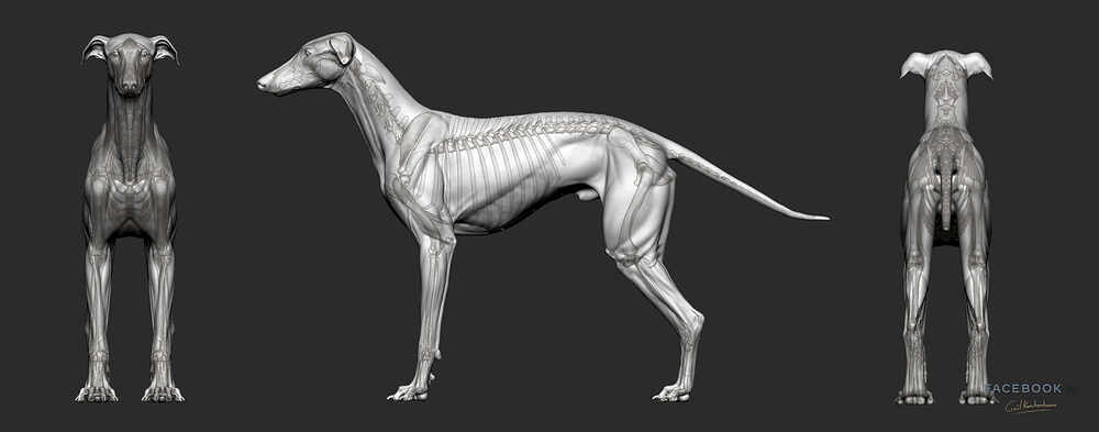 05_gael-kerchenbaum-galgo-breakdown-01-004
