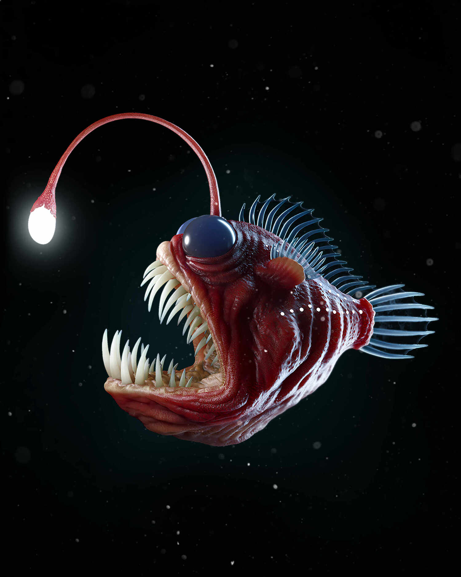 angler fish zbrush