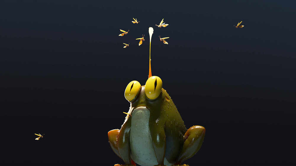 render_frog_008