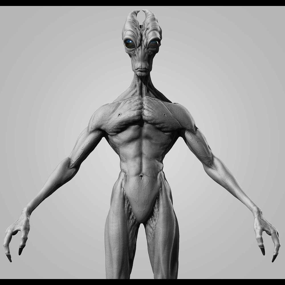 Base Render _2