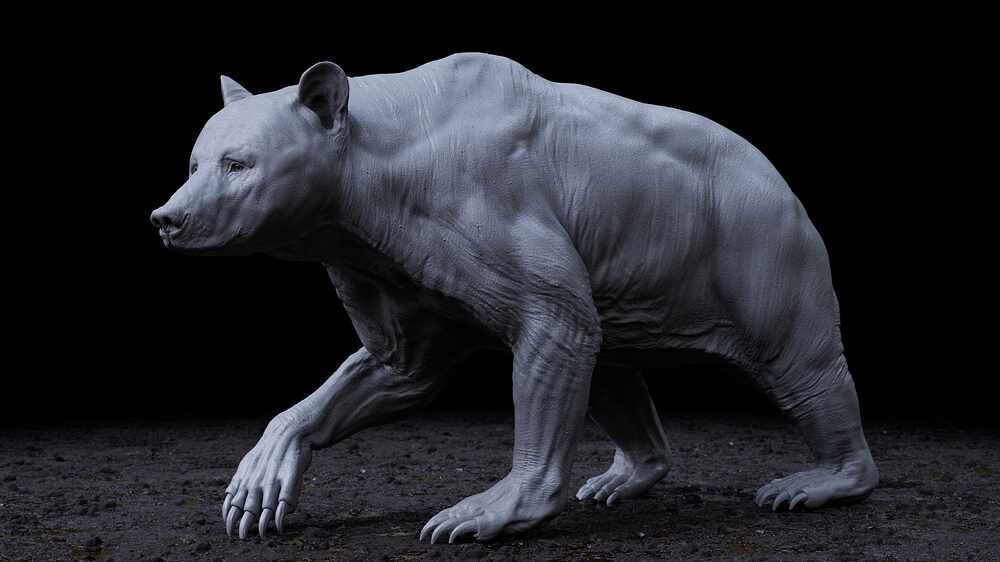grizzly_body_displacement_camShape_acescg_v001
