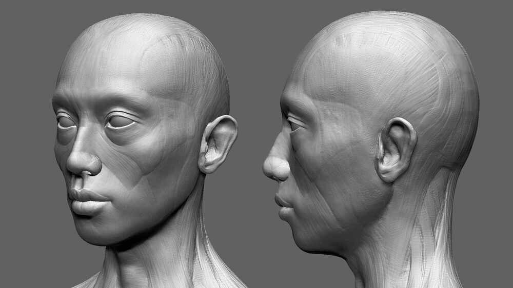 Head.1001