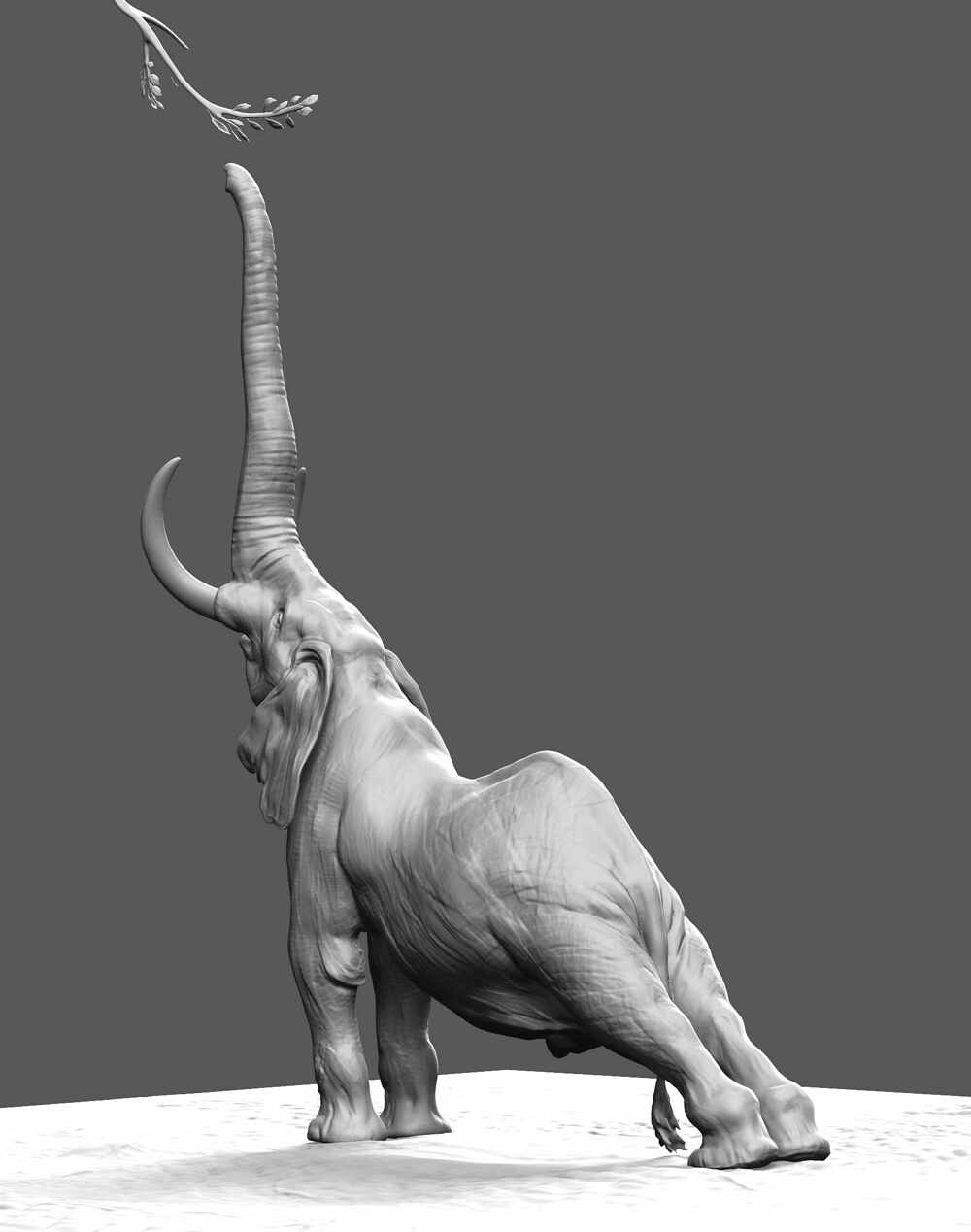 Elephant_Speed_Sculpt_1A