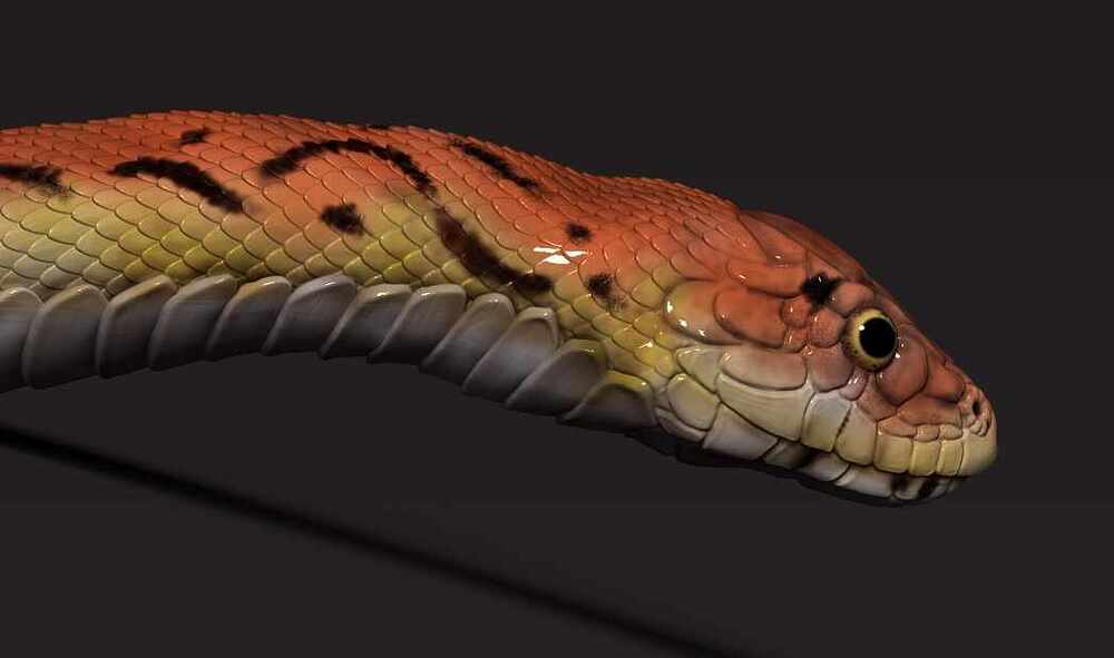 snake polypaint zbrush art2
