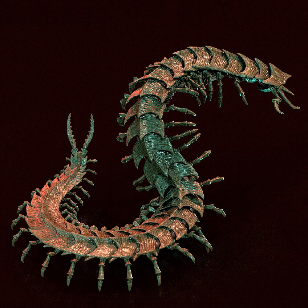dirk-wachsmuth-insta-centipede-b-07