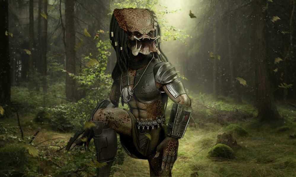 Predator1