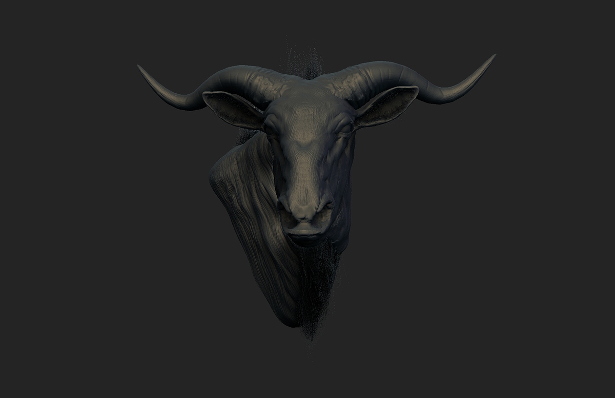 wildebeest_B2