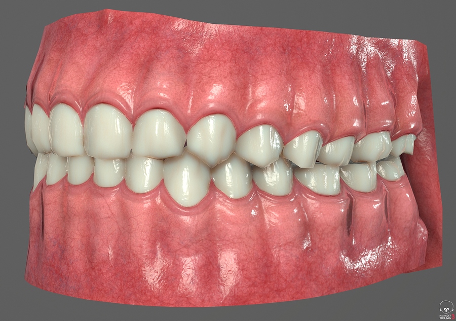 Toolbag_screenshot_05