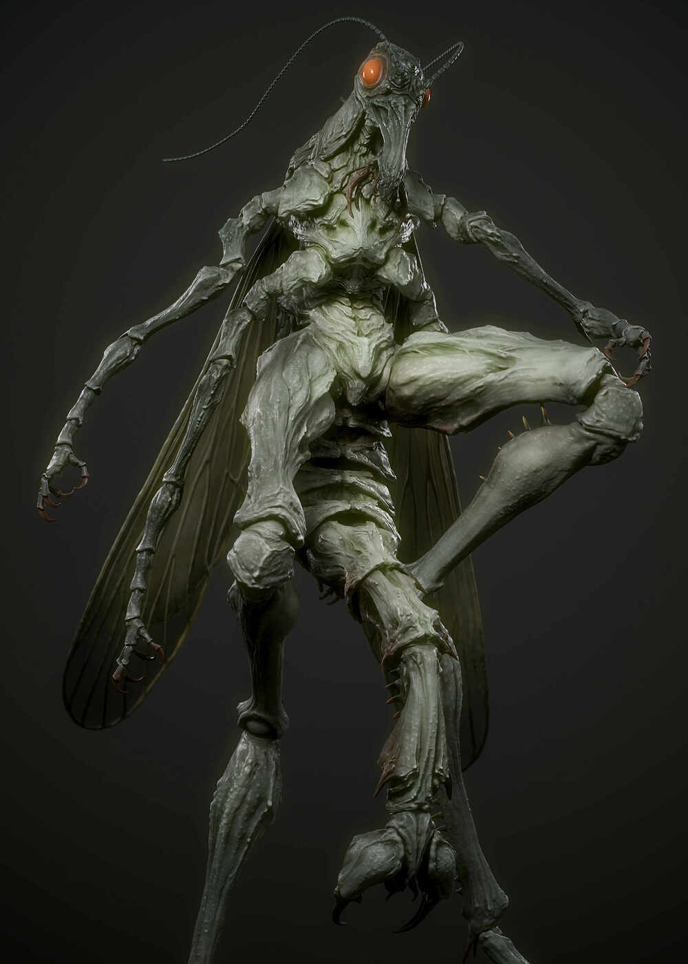 PJ008