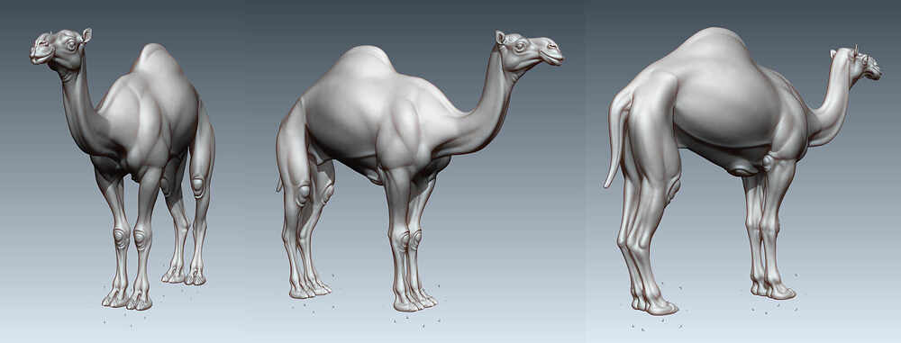 figure_persp_hp_0305