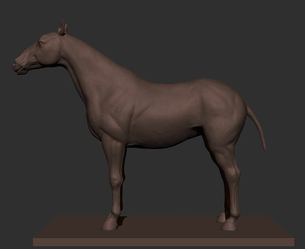 horsezbr_5