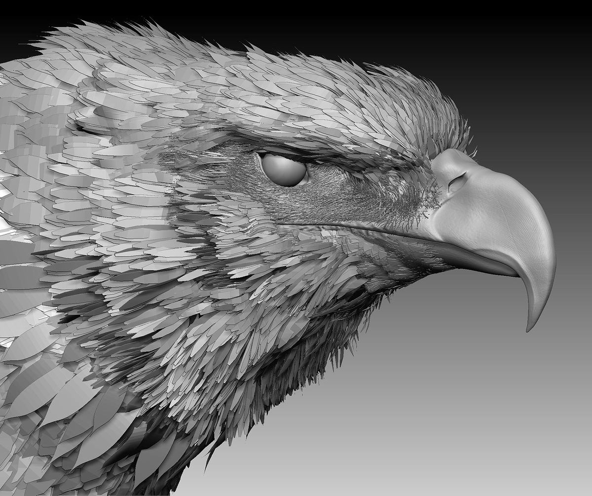 GoldenEagle-Feathers