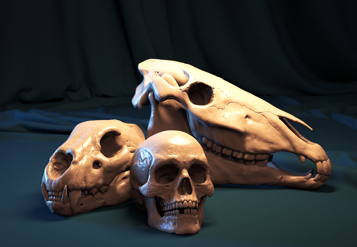 skull_046